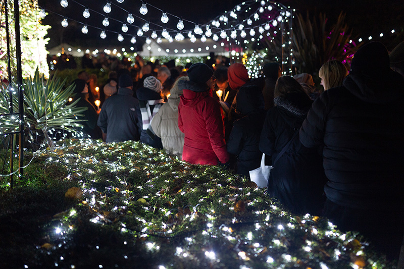 Festival-of-Light-2022052.jpg