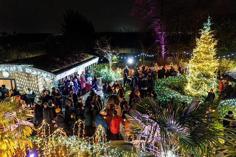 Festival-of-Light-2023105.jpg