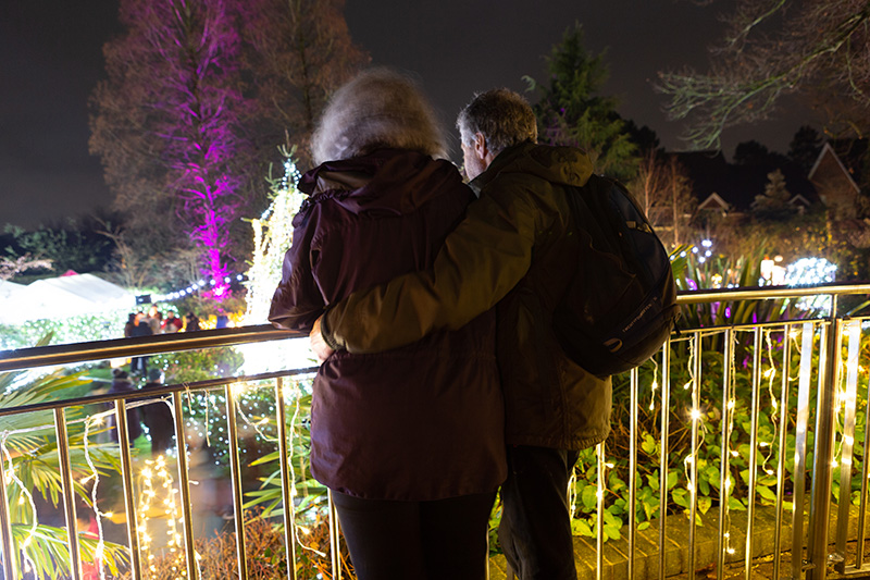 Festival-of-Light-2022108.jpg