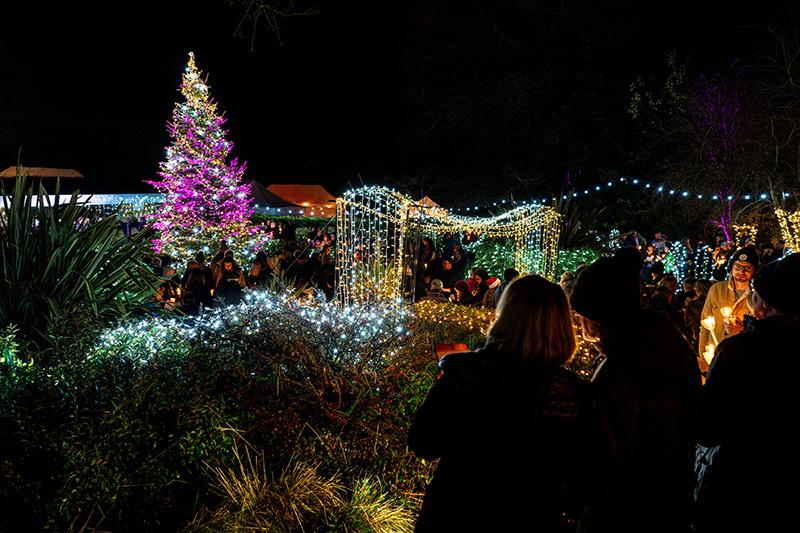 Fundraising_Festival-of-Light-(Resized-Photos)_2024-(142)e1ed5014-a58f-4e61-895d-3df5504c73db.jpg