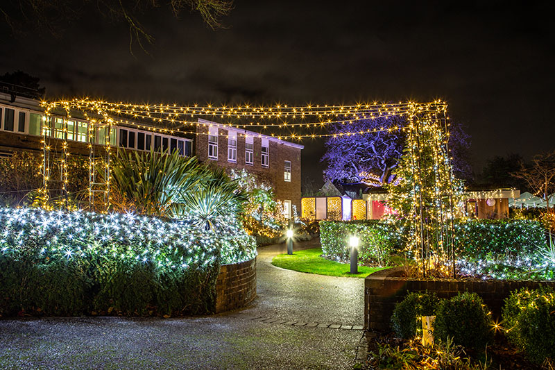 Festival-of-Light-2021031.jpg