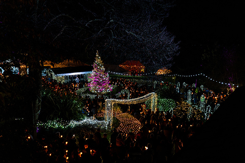 Fundraising_Festival-of-Light-(Resized-Photos)_2024-(132)25938367-ed8e-4d8e-986b-a839672880e8.jpg