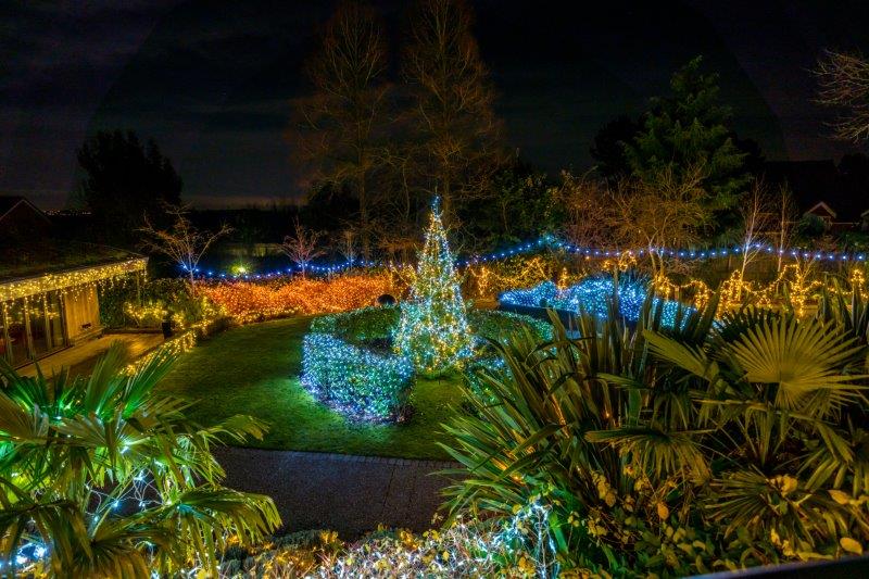 Festival-of-Light-202009.jpg