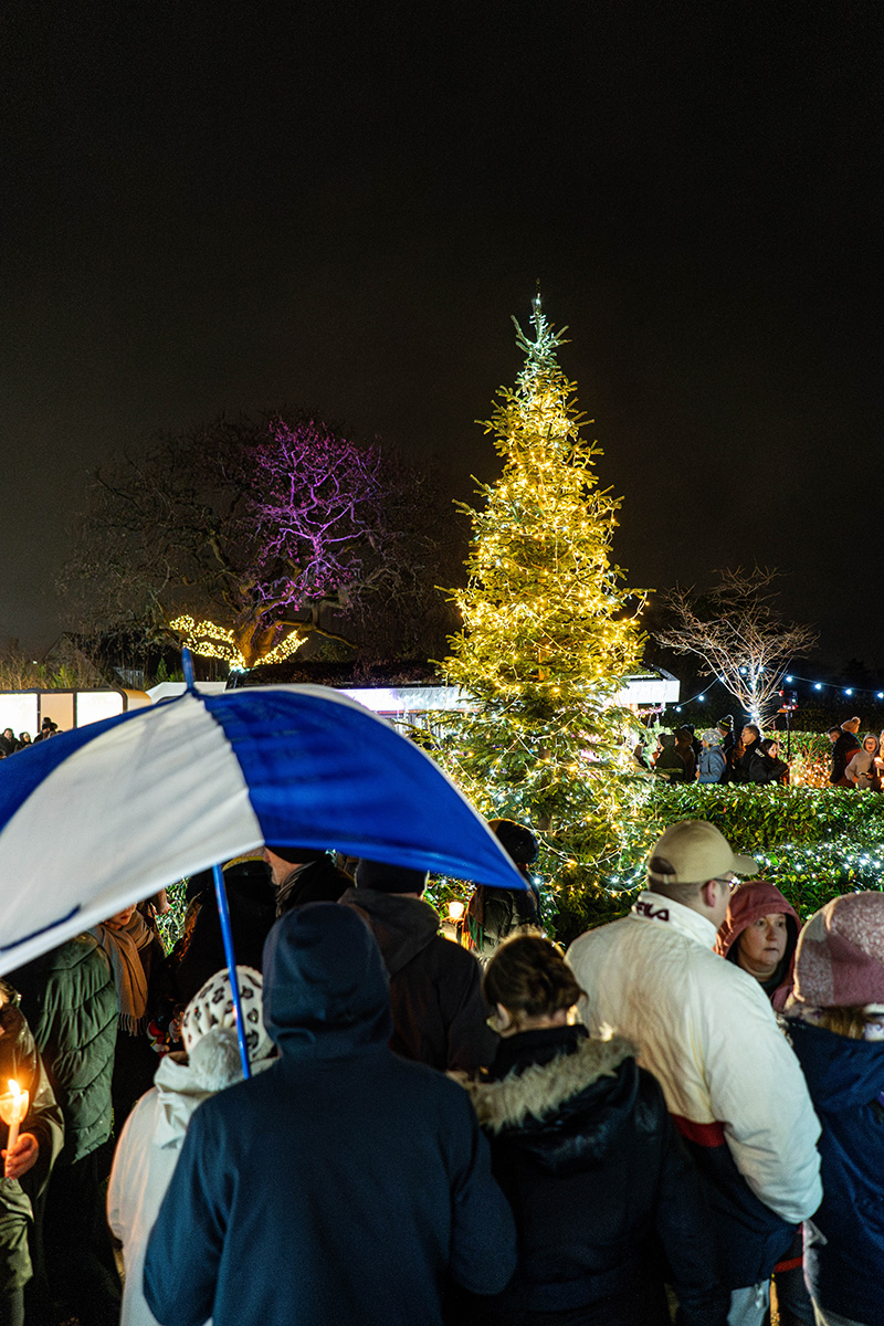 Festival-of-Light-2023101.jpg