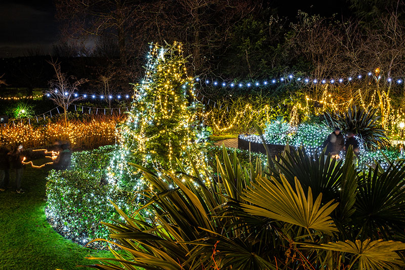 Festival-of-Light-2021046.jpg