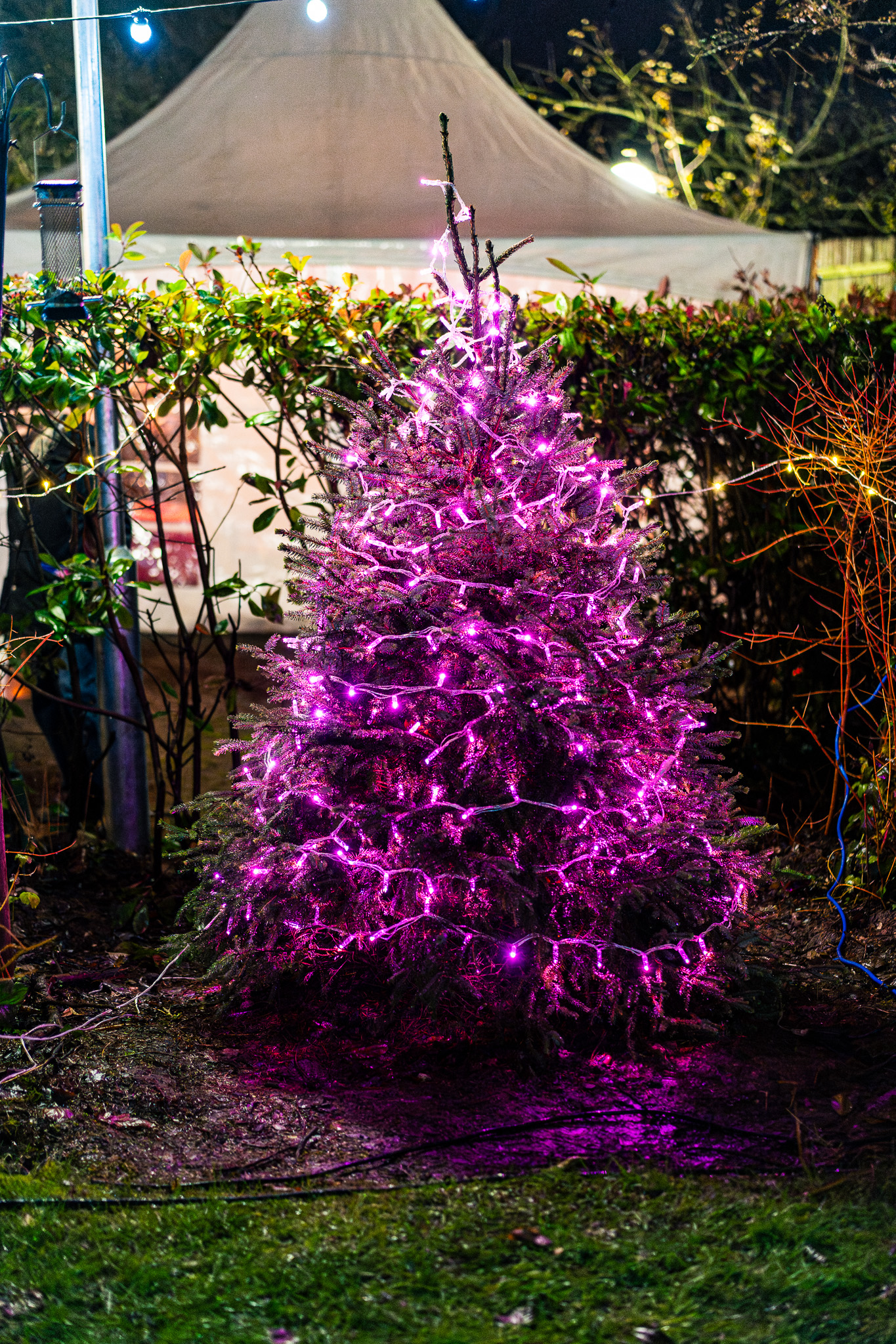 20251207---St-Lukes---Festival-of-Light_LOW_RES-215f09b056f-4644-4bfd-9ad4-60beba841007.jpg