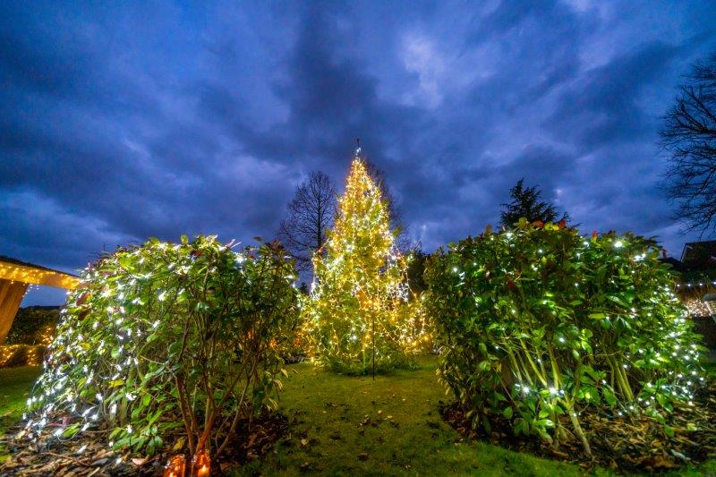 Festival-of-Light-202029.jpg