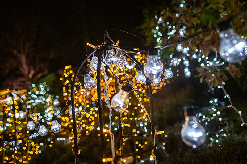 Festival-of-Light-2021004.jpg