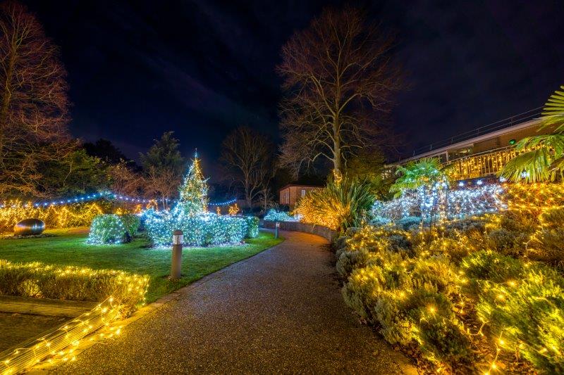 Festival-of-Light-202018.jpg