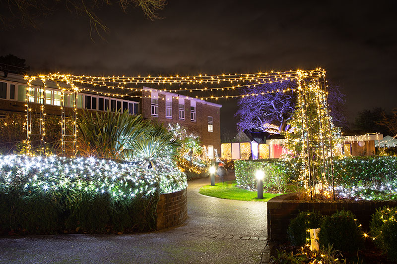 Festival-of-Light-2021009.jpg