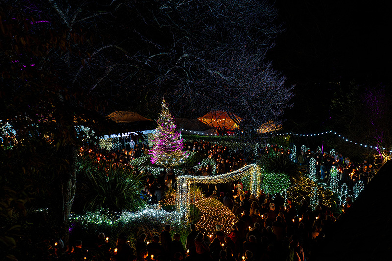 Fundraising_Festival-of-Light-(Resized-Photos)_2024-(133)8700eba1-d3b0-4530-bb68-c9d8adcd9779.jpg