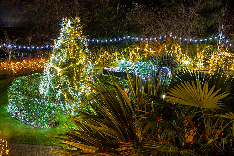 Festival-of-Light-2021042.jpg