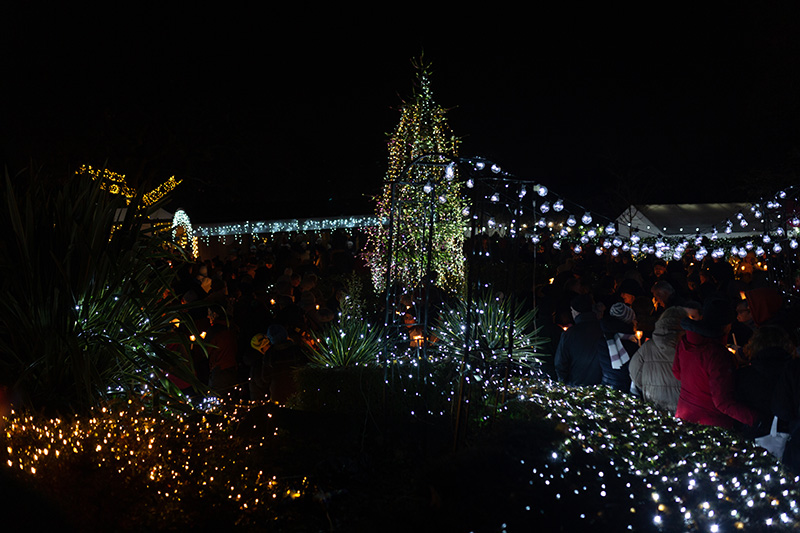 Festival-of-Light-2022059.jpg