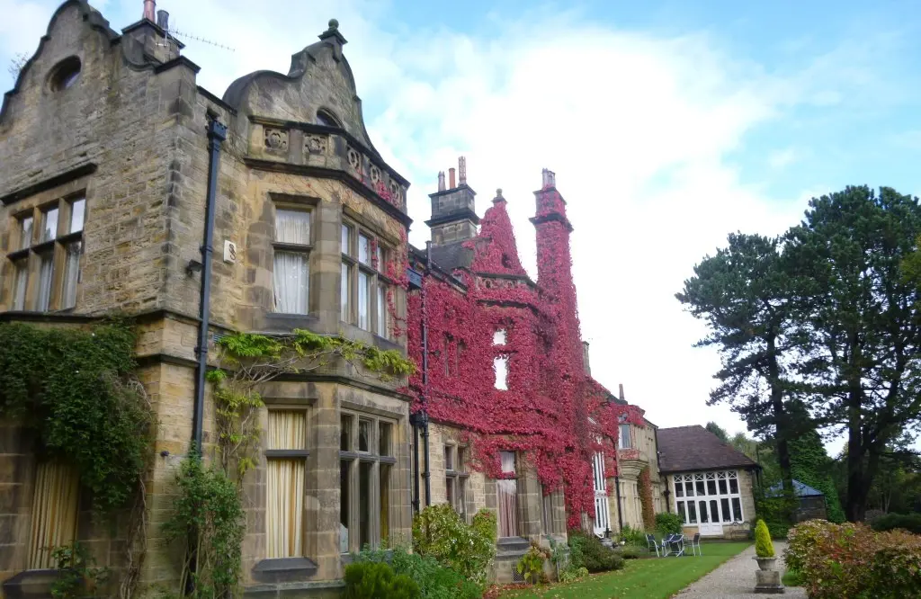 CliffordHouse236340ede-5578-4e38-9b5b-b8f56afdc547.jpg