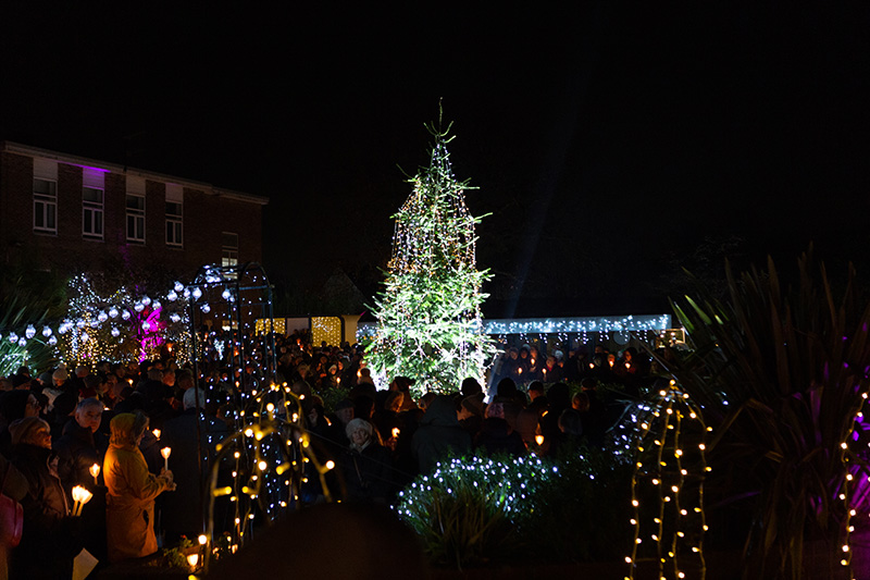 Festival-of-Light-2022062.jpg
