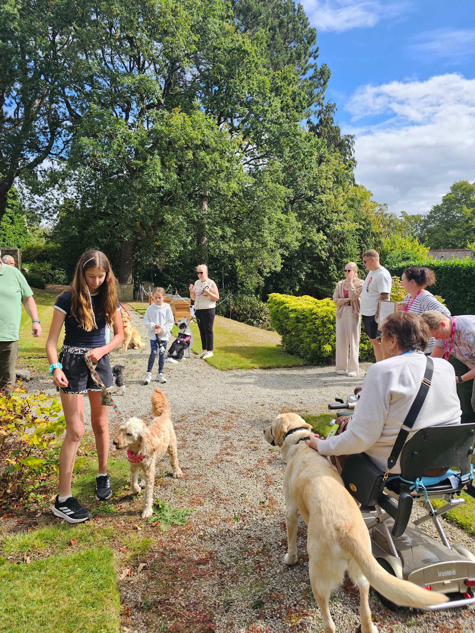 St-Luke's-Summer-Fayre-2025-226f54eab7-3c31-4c96-8390-a26ca0dc988f.jpg